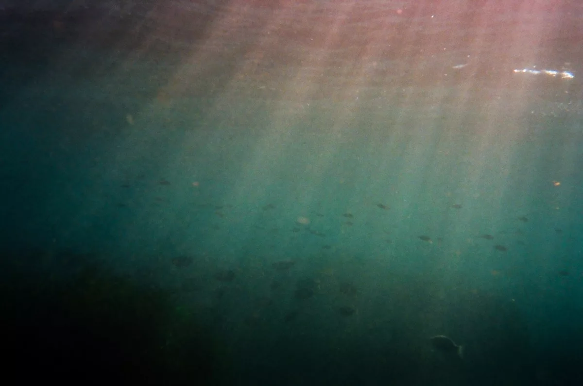 Apnea en carrete